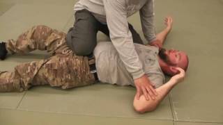 Igor Ponizov Systema For Dummies, Controls On The Ground