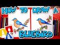 How To Draw A Bluebird