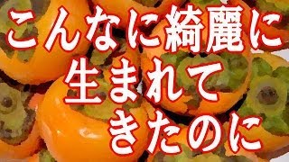 感動する話 【スーパー】 実話 - こんなに綺麗に生まれてきたのに