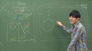 [2019 수능개념 생명과학2 개념완성] 12강 세포 호흡2 고3 기본