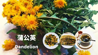 蒲公英，Dandelion,(Three recipes of dandelion)蒲公英怎么吃最好，.三种最好的方法告诉你.享受美食的同时又保健养生.Drei Rezepte Löwenzahn