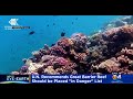 United Nations: Great Barrier Reef Should Be Placed On 