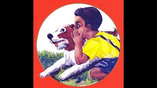 Amharic Children's Book: ዲባዲና ውሻው ዶቢ