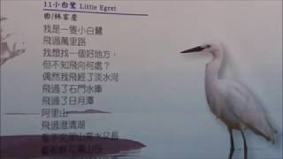 11. 小白鷺 Little Egret (Taiwan folk song) - 鄭舜成 (東西文化薈萃：海洋與鄉土的呼喚 二)