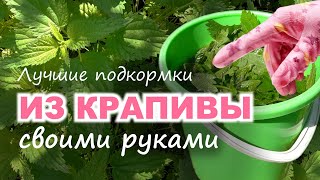 Лучшие ПОДКОРМКИ для растений ИЗ КРАПИВЫ своими руками