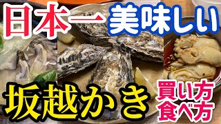 【日本一の牡蠣】兵庫県 赤穂市 坂越の絶品かきの買い方と食べ方【海の駅 しおさい市場】