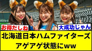 北海道日本ハムファイターズ、アゲアゲ状態www【なんJ反応】