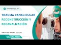 SESIÓN VIRTUAL GRUPO TRAUMA OCULAR - DRA. TATIANA BOZA, PERÚ