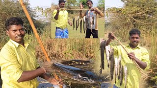 🎣కొర్రమేను చేపలు పట్టడంలో మా చిన్నమామ అదుర్స్👌.|Village Natural Fishing video | Krupa Hanok fishing.