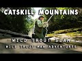 CATSKILL MOUNTAINS: Wild Trout Slam