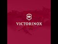 victorinox fireant 4.1330.b1