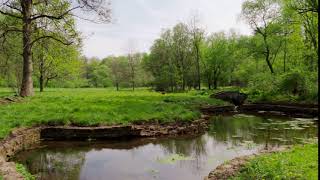 Robin Hood at Lehigh Parkway