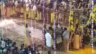 Ayyapuram temple festivel