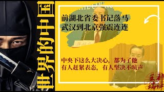 前湖北省委书记落马，武汉到北京强震连连；中央下这么大决心，都为了他；有人赶紧表态，有人坚决不吭声|《#世界的中国》（2025022）