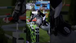 ! filmy nie moje ! horse riding edit  #horse #equestrian #horseriding