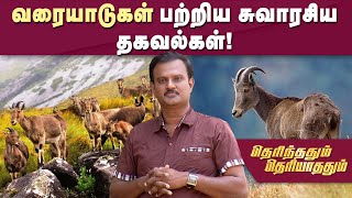 வரையாடுகள் பற்றிய சுவாரசிய தகவல்கள்! | Therinthathum Theriyathathum | Kaalai Malar | JayaTv