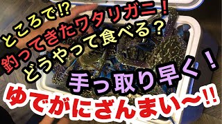 #渡り蟹#カニ網 #Crab                        【ワタリガニ下処理】ゆでがにざんまい〜‼︎