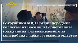 Ирина Волк: МВД России передало коллегам из Боснии и Герцеговины мужчину, находящегося в розыске