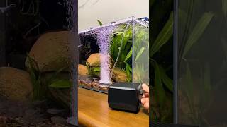 Amazing Strong Aquarium DIY #trending #fishtanksetup #fishaquarium #diy #fish #filter #shortvideo