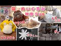 癒やしコンビ！猫×ぬいぐるみのかわいい映像5連発