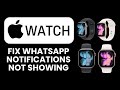 WhatsApp Notifications Not Showing on Apple Watch 📲 Quick Fix to Receive Messages Instantly