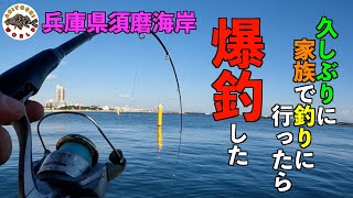 【兵庫県須磨海岸で釣り】家族でフィッシング!!魚種豊富で大漁!!