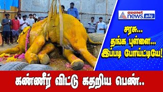 இறைவனடி சேர்ந்த பழனி யானை சரஸ்வதிக்கு இறுதி மரியாதை! | Asianet News Tamil