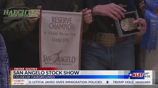 Final day of Swine Competitions at the San Angelo Stock Show