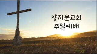 [20241124 주일예배] 인생의 겨울에_ 디모데후서 4:9-16_ 양지문교회