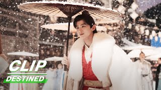 First Meeting Between Liu Yuru and Gu Jiusi | Destined EP01 | 长风渡 | iQIYI