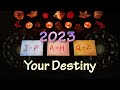 2023 Your Year in Detail🌏Your Destiny 2023 -- Universe has a Message for You TAROT PREDICTION 2023