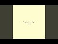 Fragile Moonlight