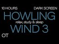 HOWLING WIND Sounds for Sleeping 3 | Relax |Study | BLACK SCREEN| Real Storm Sounds| SLEEP SOUNDS