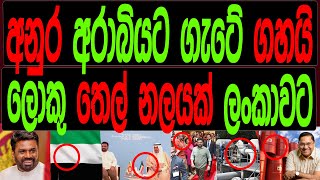 අනුර අරාබියට ගැටේ ගහයි  ලොකු තෙල් නලයක් ලංකාවට.Malimawa/මාලිමාවට