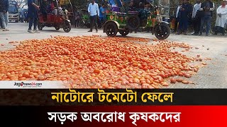 ৫০ হাজার টাকার টমেটো ২০ হাজার টাকায়ও বিক্রি হচ্ছে না | Tomato | VAT withdrawal || Jago News