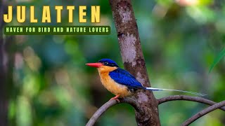 Julatten | Haven for Bird and Nature Lovers | Far North Queensland