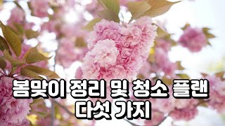 봄맞이 정리 및 청소 플랜 5가지