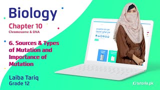 Biology Class 12 | Chapter 10 | Topic 6 | Sources & Types of Mutation & Importance of Mutation