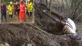 When This Old Mare Was Swept Away In A Raging Flood, Nobody Ever Expected To See Her Again