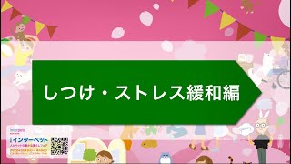 第11回 インターペット　スペシャルPV　しつけ・ストレス緩和編