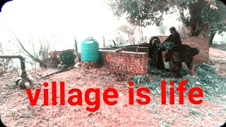Rular life in pakistan || village life pakistan || rural life of punjab