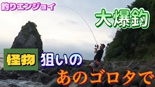 あのゴロタで怪物級の根魚リベンジでまさかの爆釣！[ロックフィッシュ] [東伊豆] [爆釣]