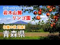 Apple orchards at the foot of Mt. Iwaki ( Aomori Prefecture ) / Spectacular Views of Japan