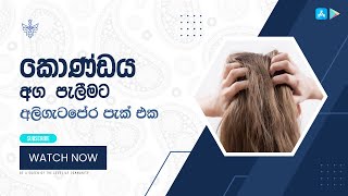 අලිගැටපේර පැක් එක | කොණ්ඩය අග පැලීමට විසඳුම් | How to get rid of split ends Remedies and Treatments