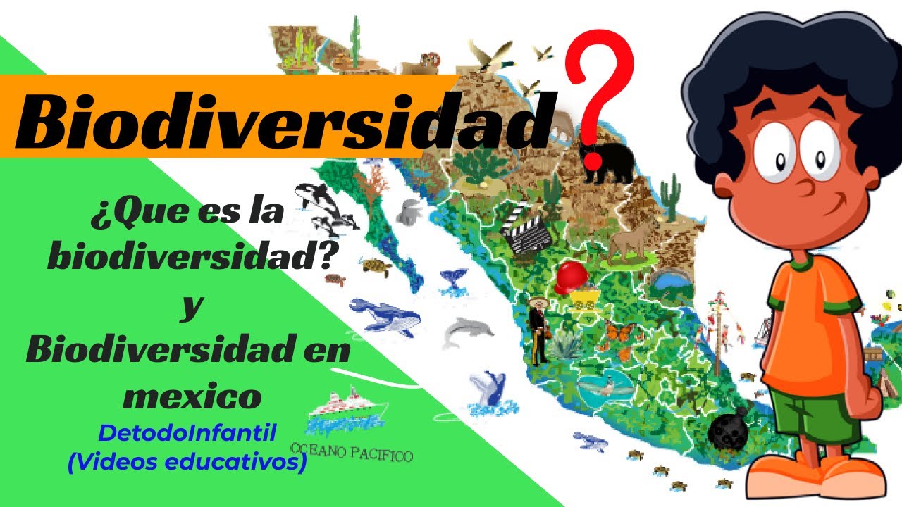 Que Es Biodiversidad? Y Biodiversidad En México. - YouTube