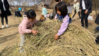 양평자유발도르프학교 아이들이 가을 추수 했어요~🌾