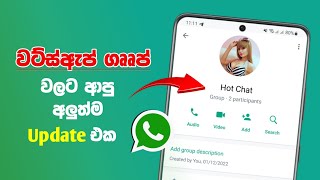 Whatsapp new update 2023 | Whatsapp group update sinhala | Tech s geek