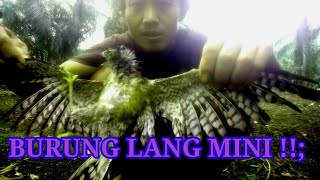 GAK DISANGKA DAPAT BURUNG LANG MINI !!!,,,,