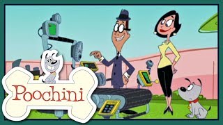 Poochini - Episode 12 - Stray Dog