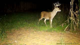 #spartancamera  cellular visitor